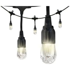 Classic LED Cafe Lights