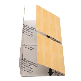 Raid Pantry Moth Trap