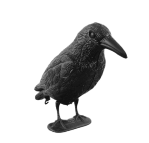 Hunting Animal Duo Models (Option: Crow)